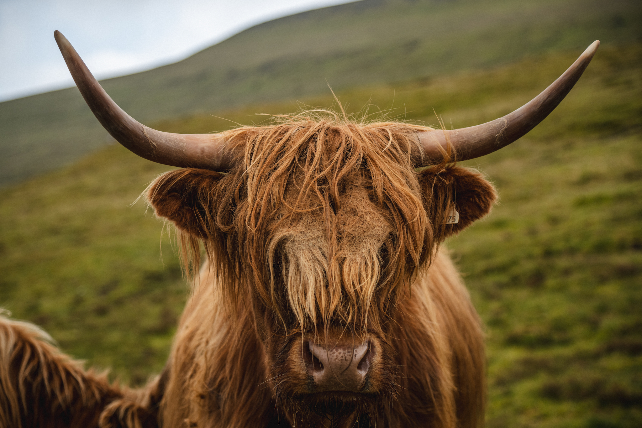 Faroe Islands Top Picks 12 of 63
