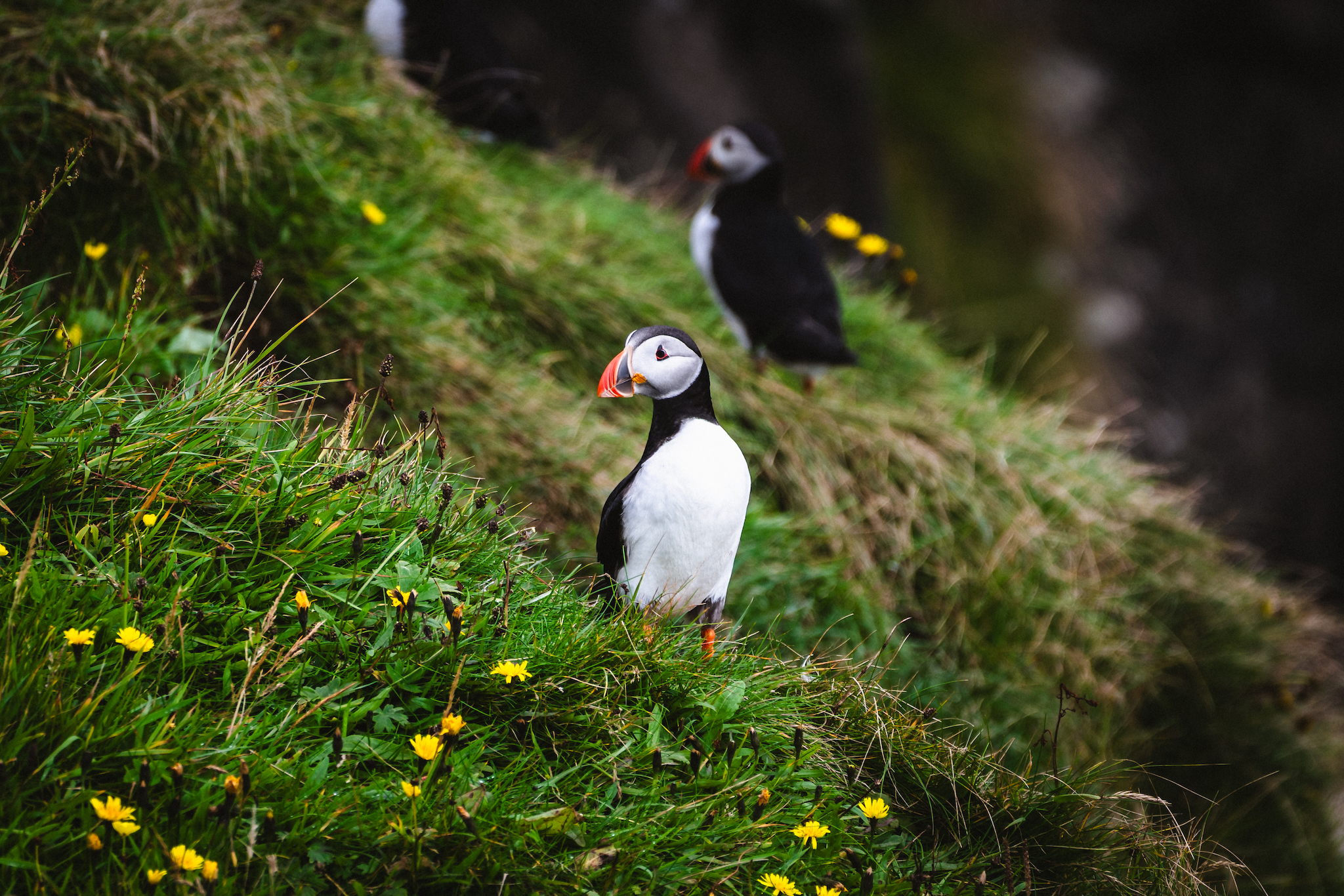 Faroe Islands Top Picks 16 of 63