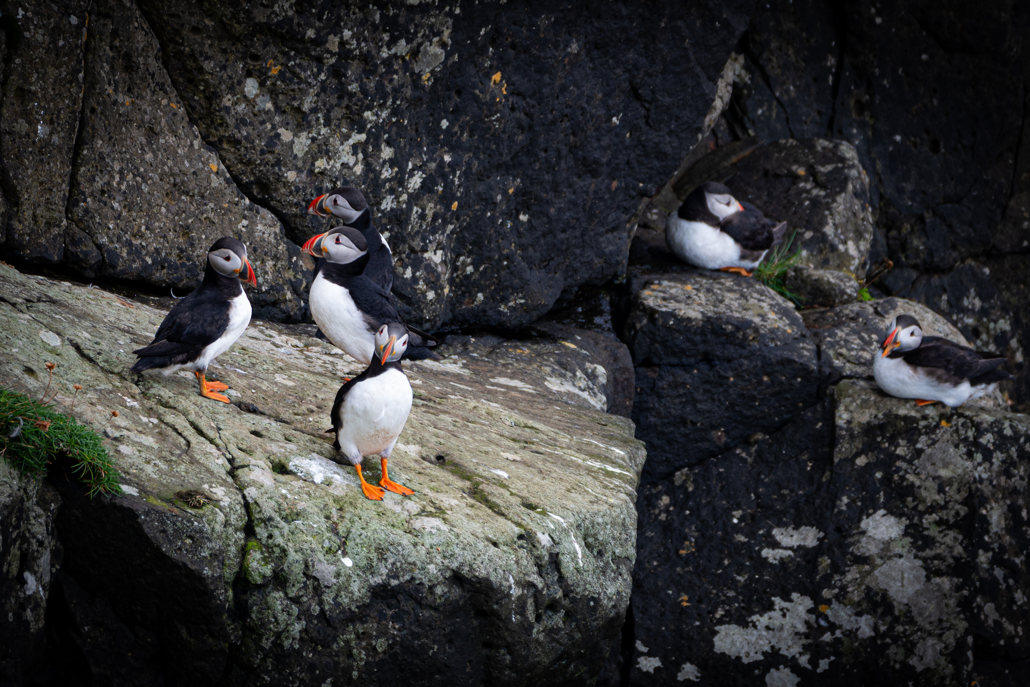 Faroe Islands Top Picks 17 of 63