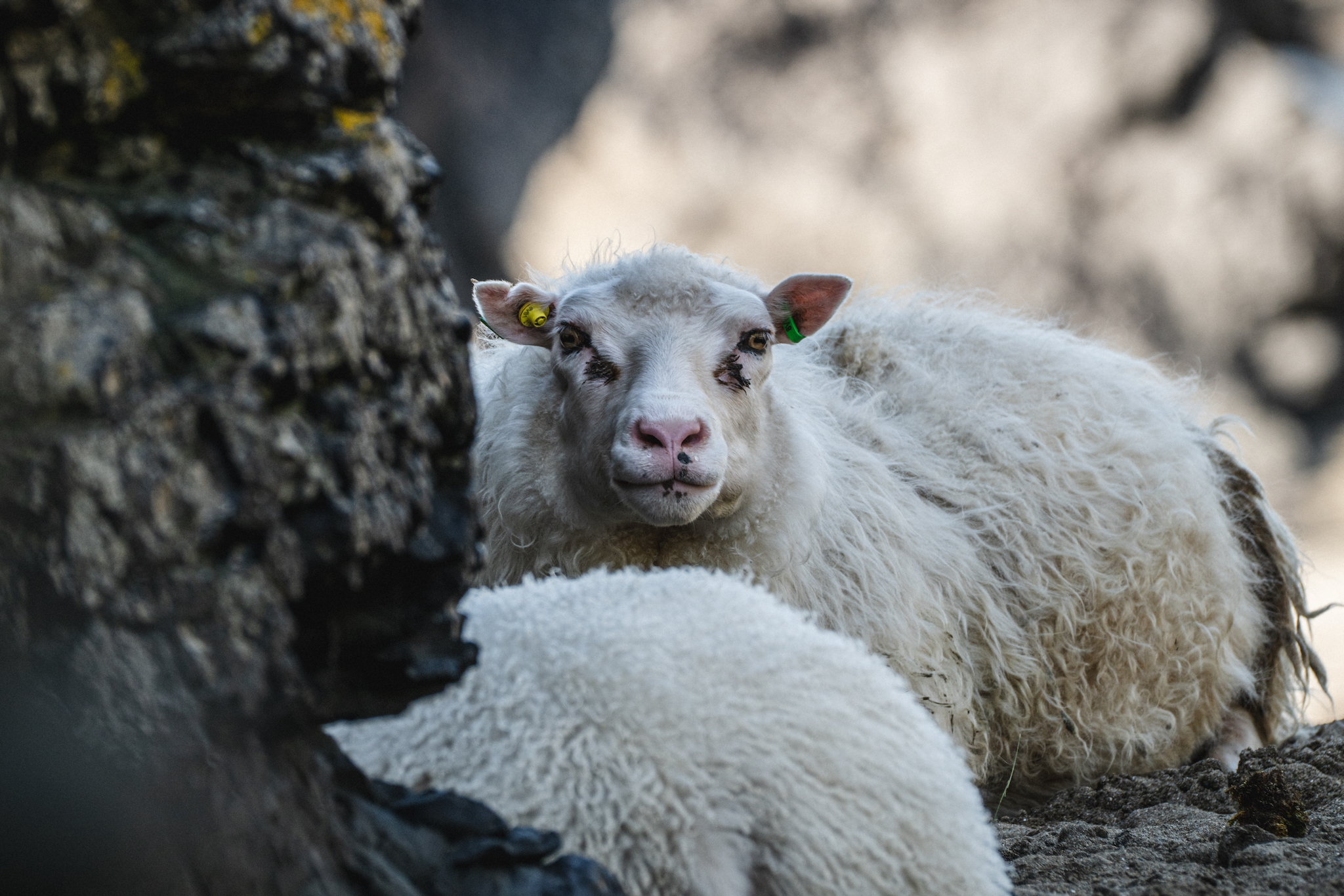 Faroe Islands Top Picks 2 of 63