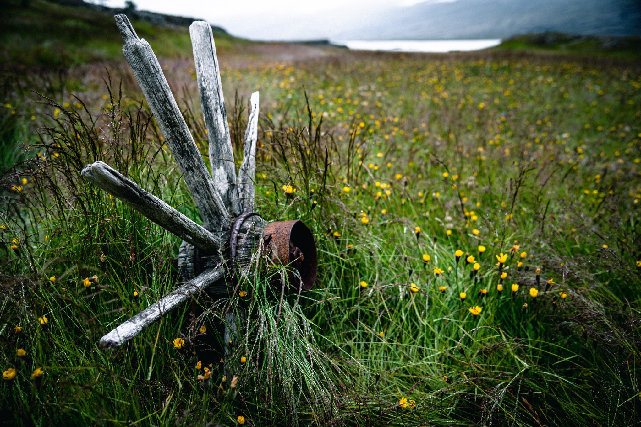 A broken wagon wheel in a field at Teigarhorn.