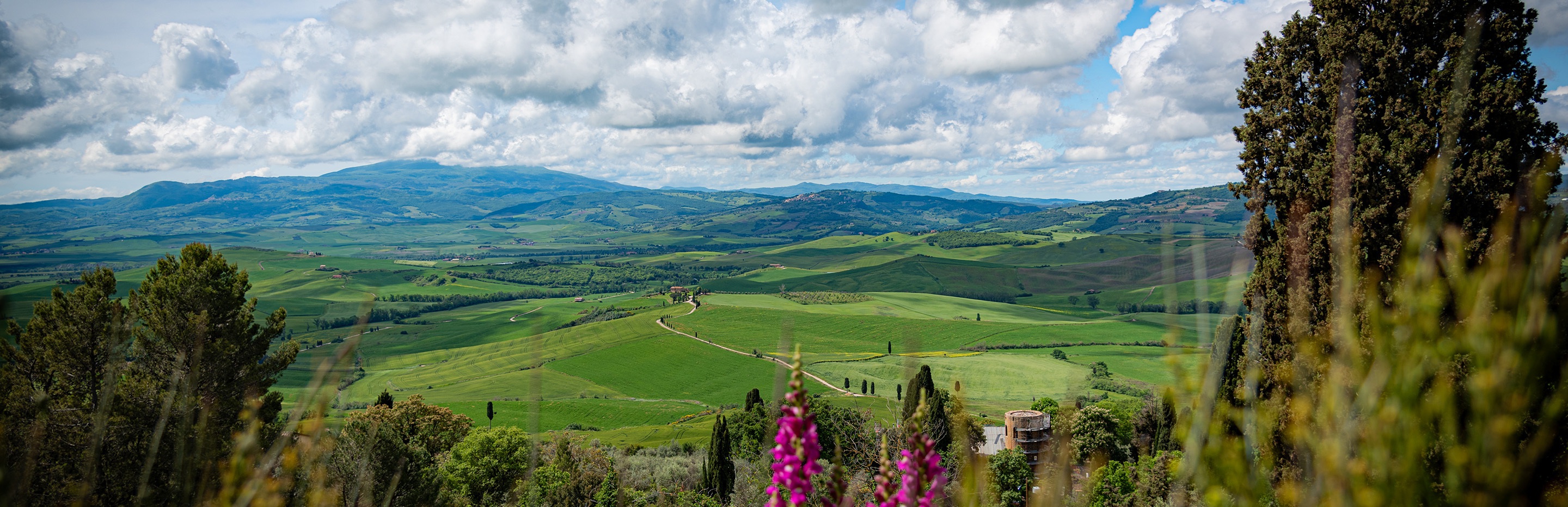 Panoramic landscape view of Val d'Orcia in Tuscany, Italy