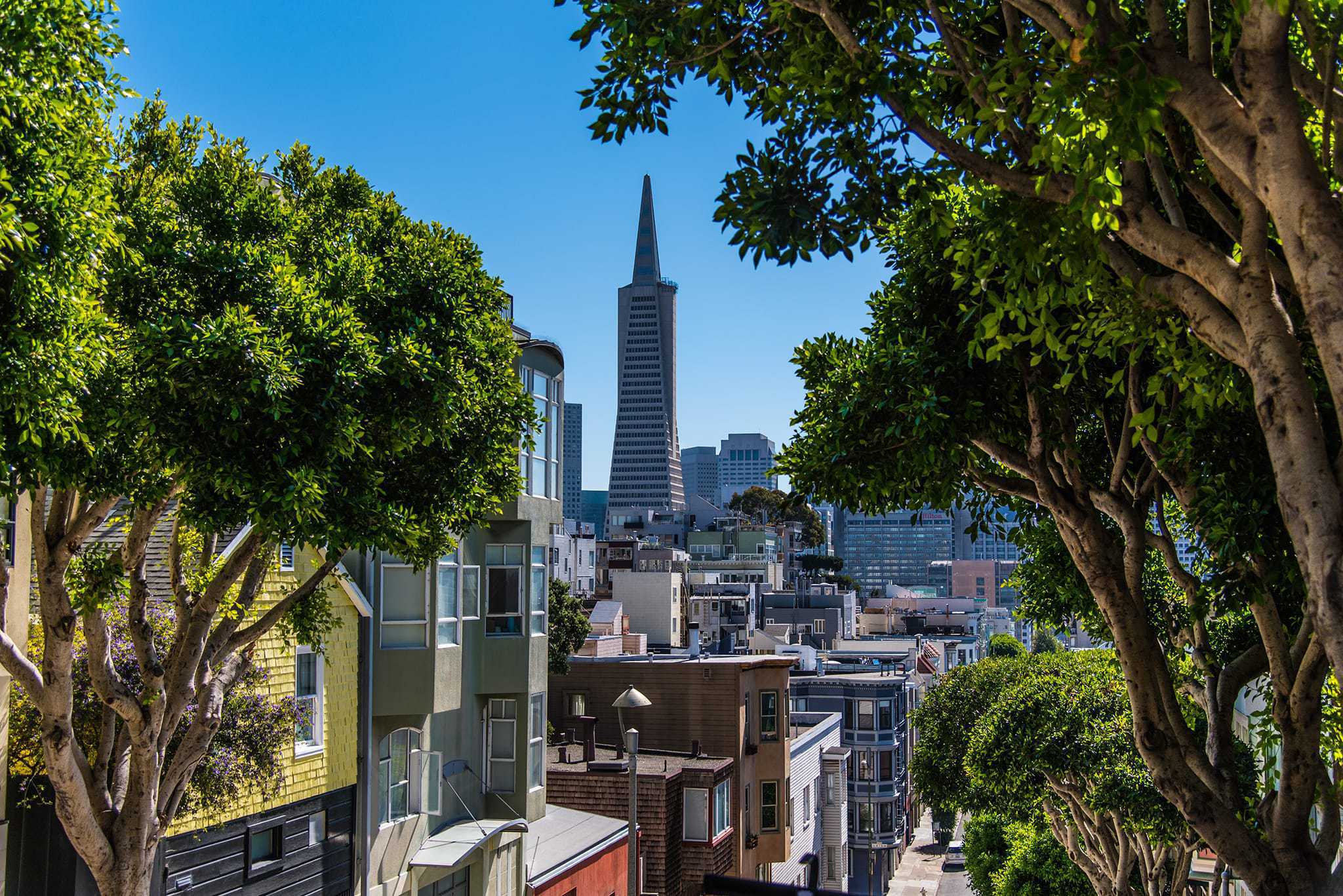 Telegraph Hill Downtown