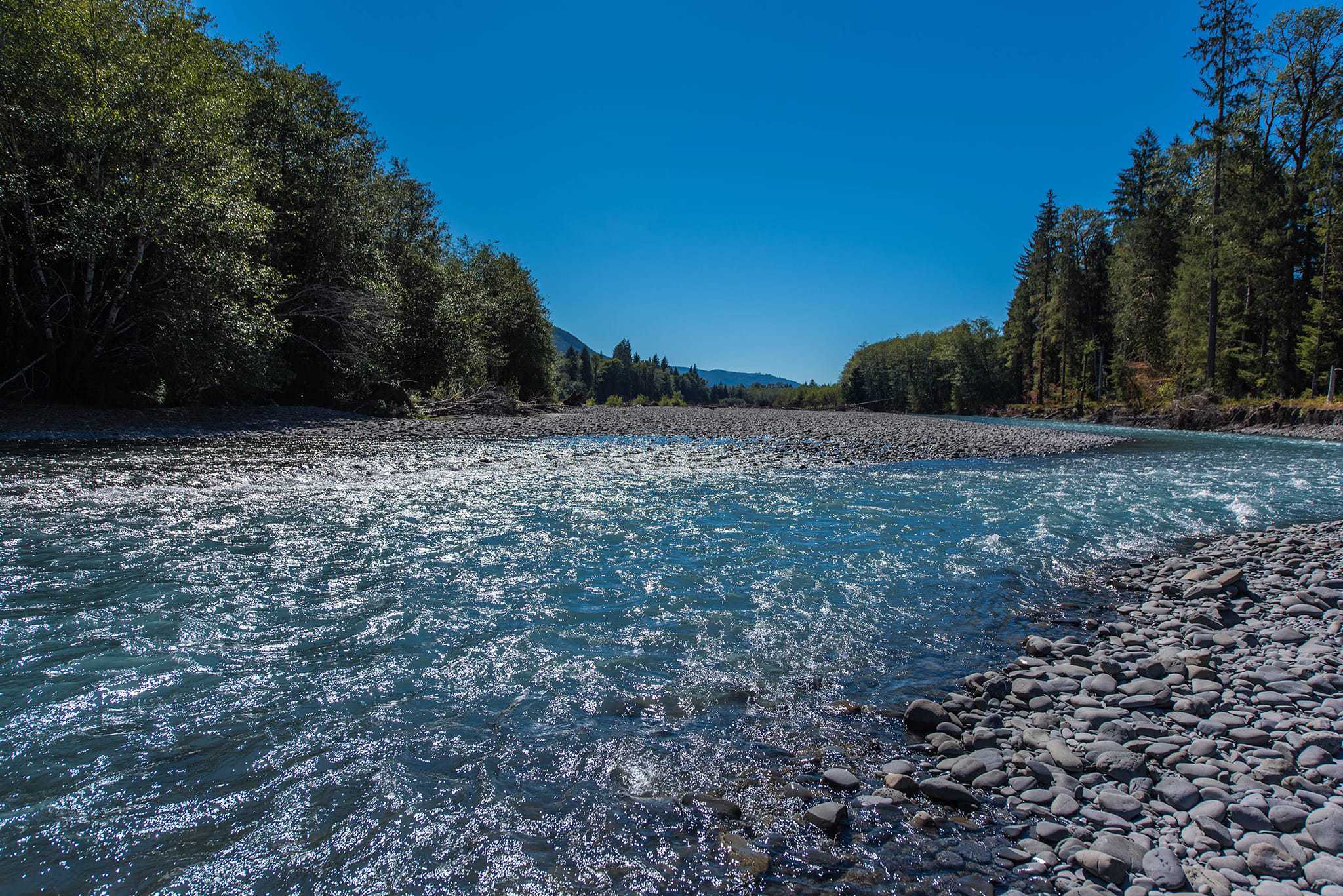 Hoh River
