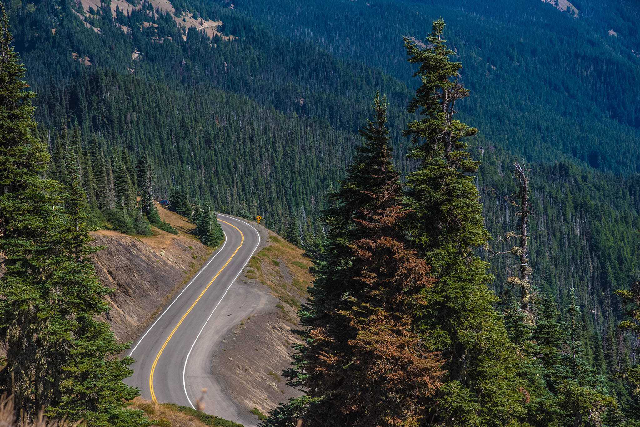 Hurricane Ridge