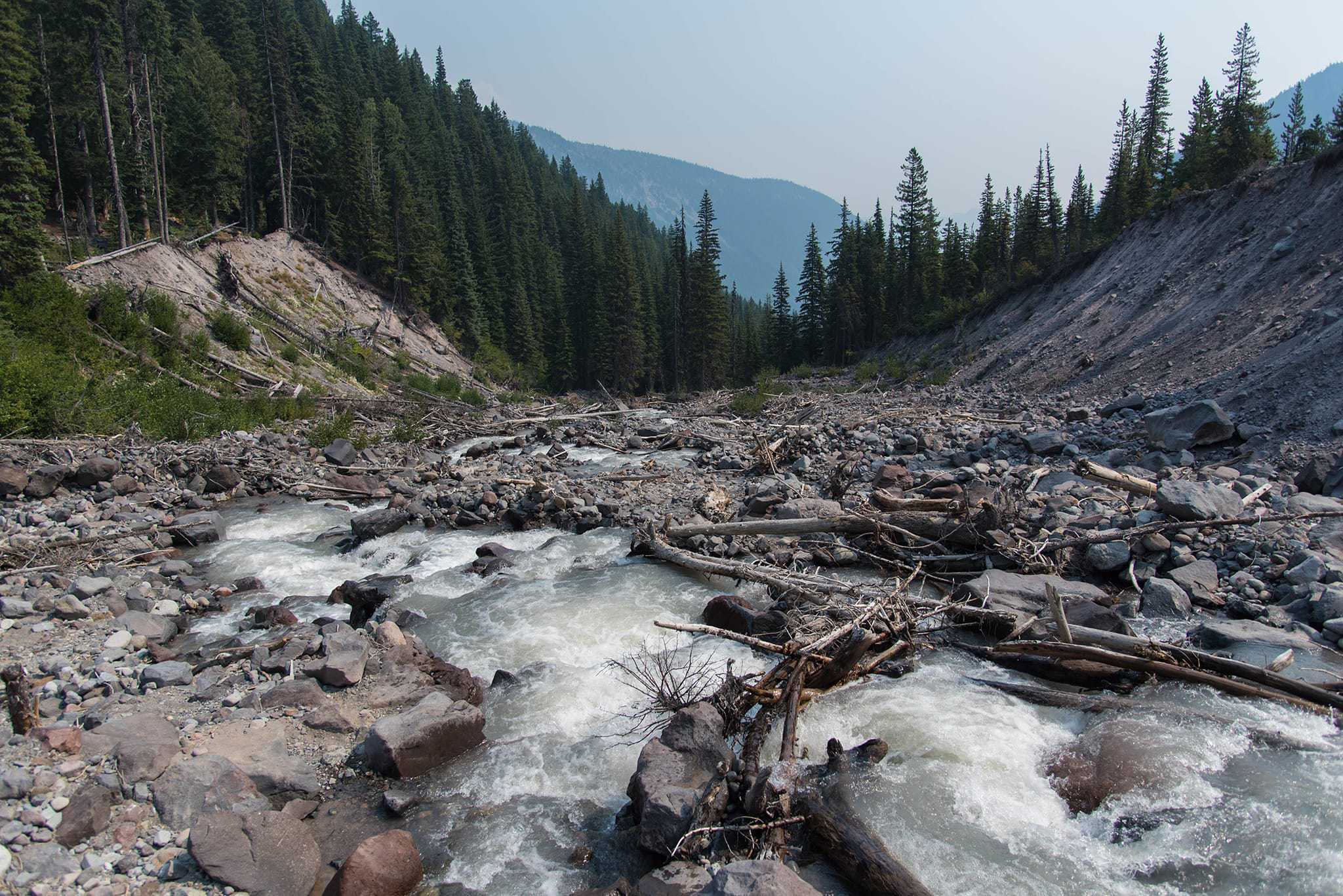 White River in Mount Rainier National Park