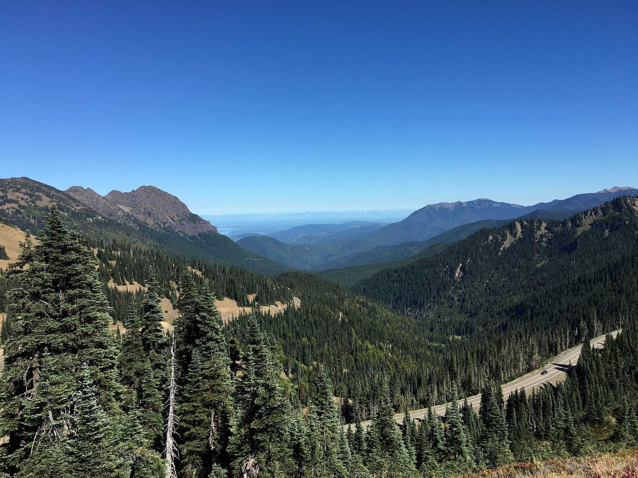 Hurricane Ridge
