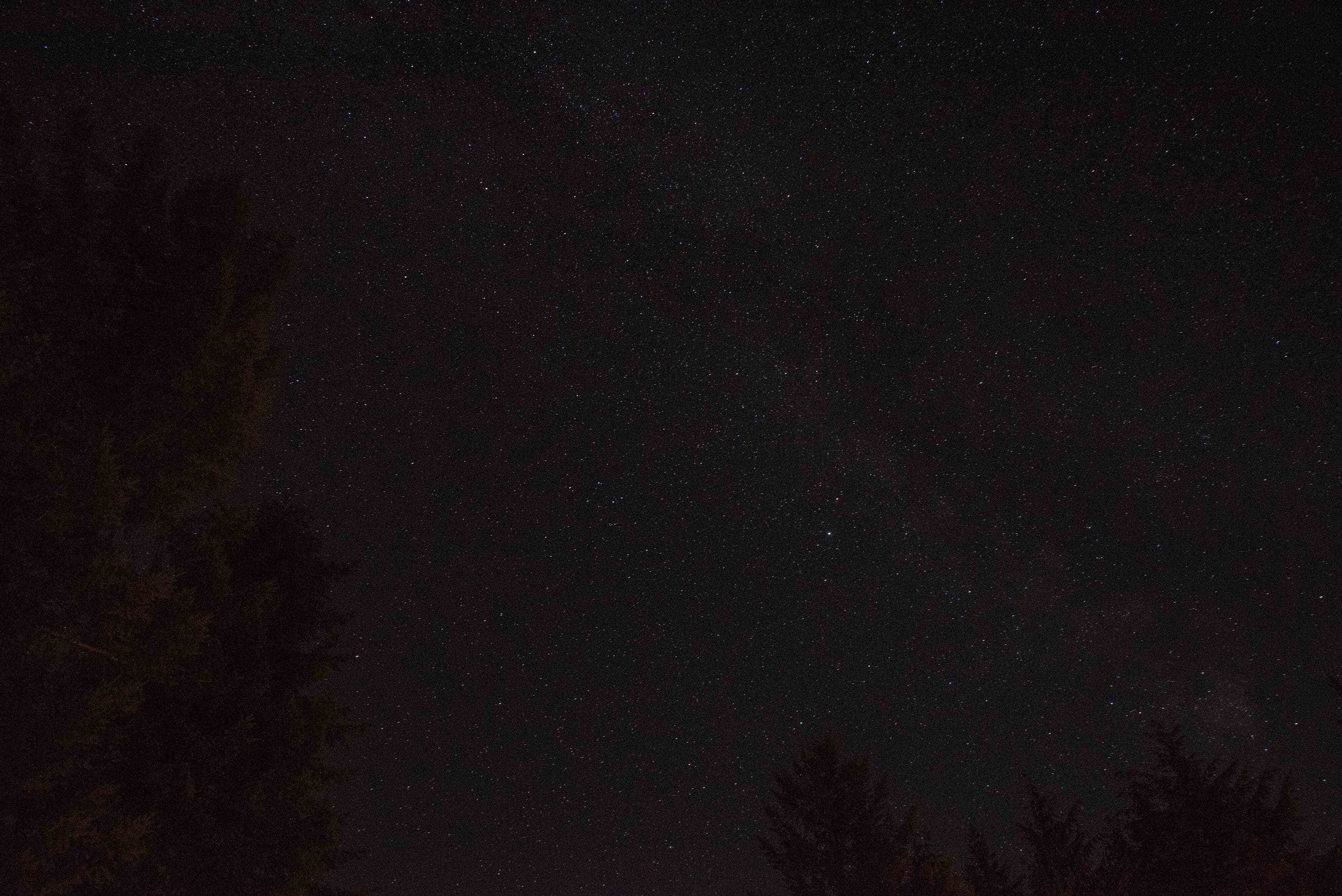 Starry Night
