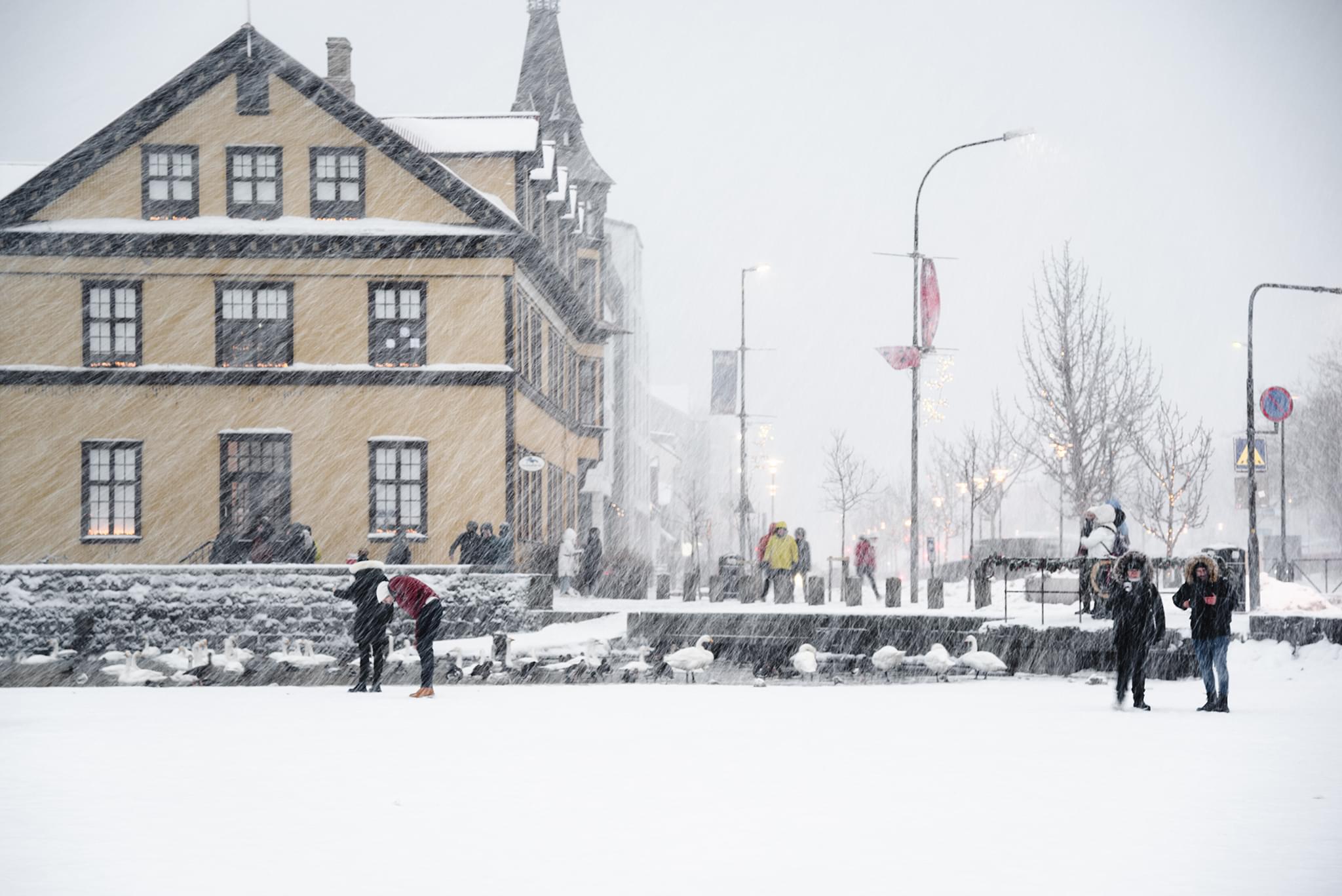 On Tjörnin